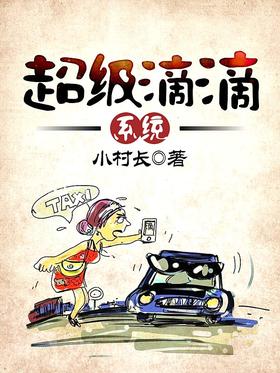 Super Didi System